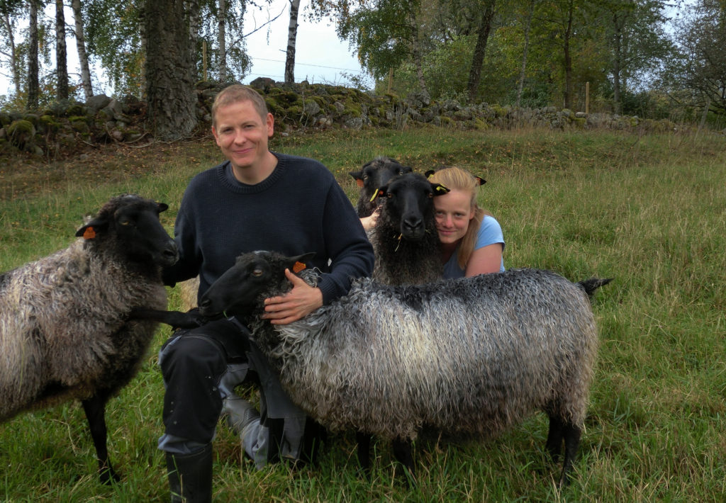 Mattias, Jessica och fåren