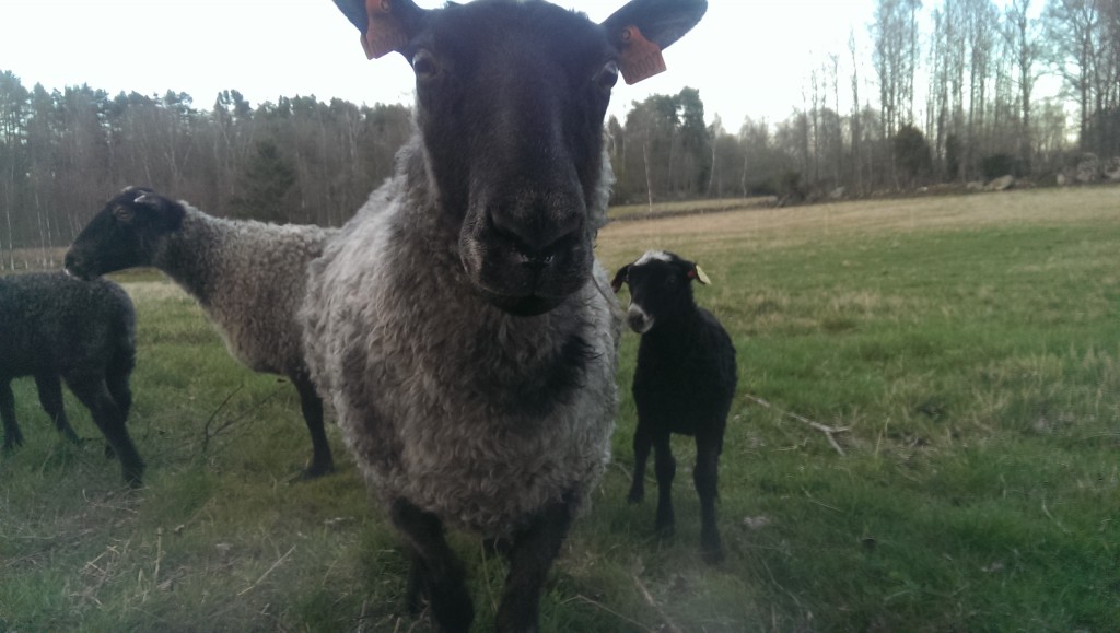 Nästan så att man tror att hon tagit en selfie!?