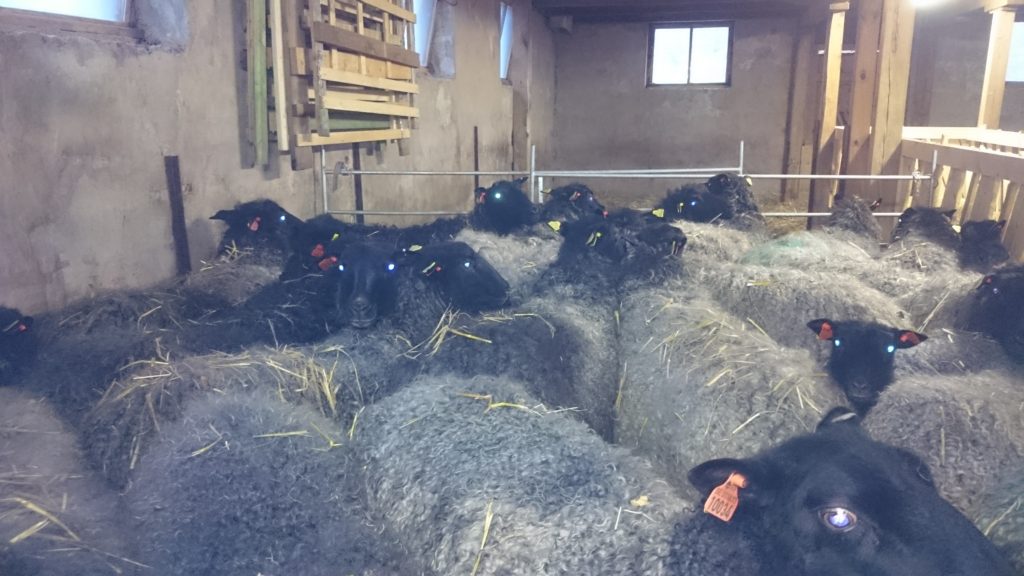 Trångt i början när alla är fullt påklädda