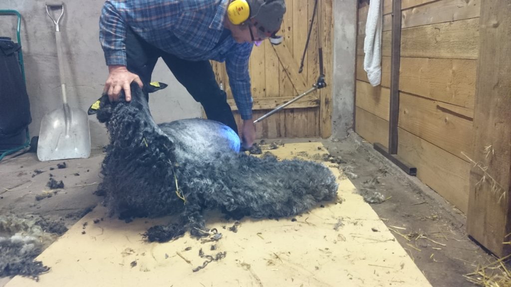 Inte en vilsam ställning för någon på bilden!