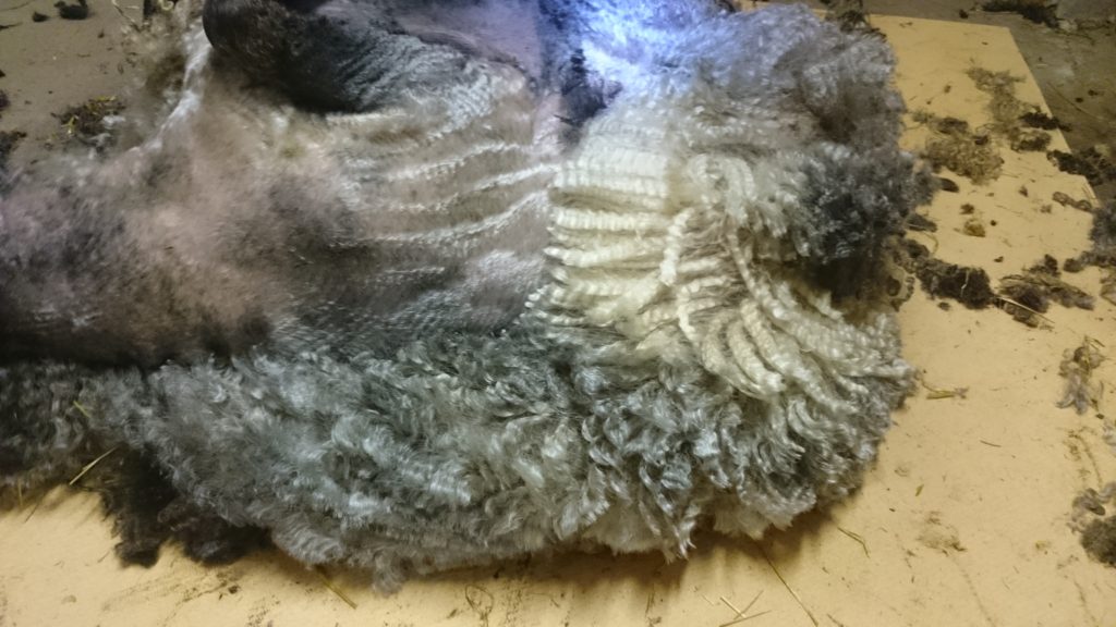 Ett fantastiskt material, varför vill ingen ha det?