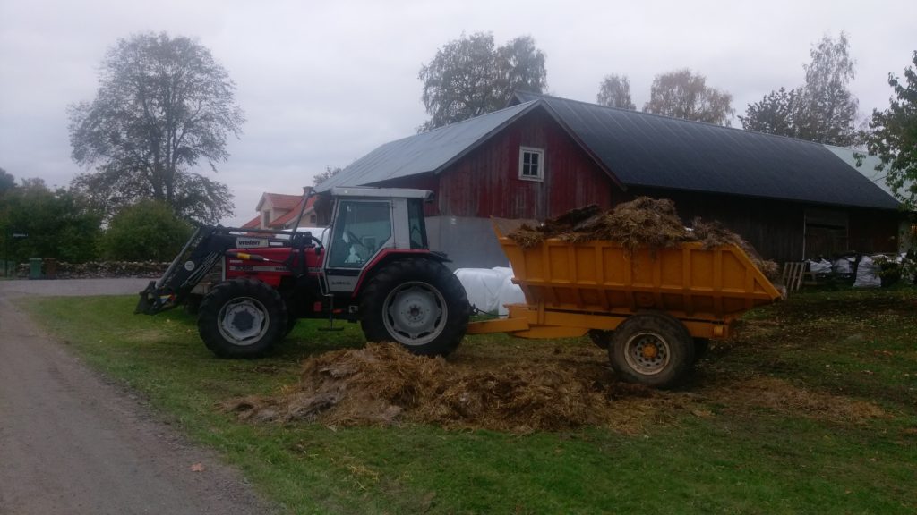 Lånad dumper (men faktiskt egen traktor) 