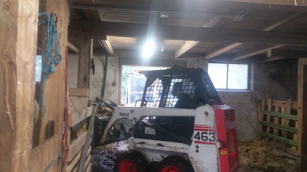 Hyrd bobcat (av son till grannen)
